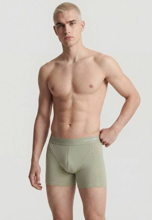 Oberkörperfreier Mann mit kurzen blonden Haaren in hellgrünen Boxershorts, steht vor einem einfarbigen hellen Hintergrund und richtet den Bund.