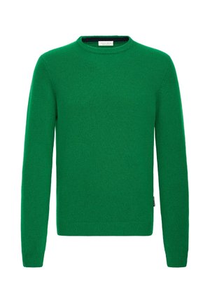 Green knit sweater, crew neck, long sleeves, soft texture, regular fit, ribbed cuffs and hem, no visible patterns or accents.