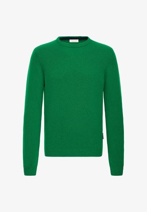 Green knit sweater, crew neck, long sleeves, soft texture, regular fit, ribbed cuffs and hem, no visible patterns or accents.