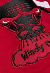 Ein roter Stoff zeigt einen gestickten schwarzen Stierkopf mit weißen Akzenten. Darunter umreißt eine schwarze Wolke den Text "Windy City" in fetter Schrift.