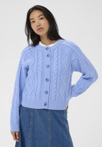 Cardigan tricoté bleu clair avec des motifs en câble, col rond et cinq boutons sur le devant. Manchons et ourlet côtelés.