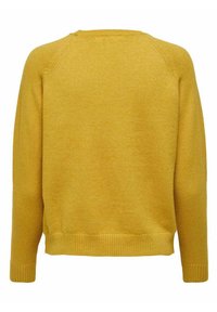 ONLY ONLLESLY KINGS NOOS - Trui - tawny olive