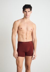 Red boxer briefs with a black elastic waistband featuring "BJÖRN BORG" logo. Smooth fabric with a fitted design, suitable for everyday wear.