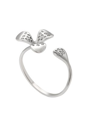Ringe - silver