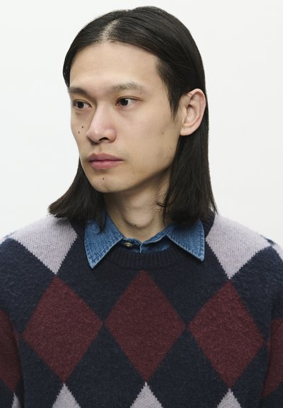 WOOD WOOD WWJAN CREW NECK - Pullover - decadent gray check