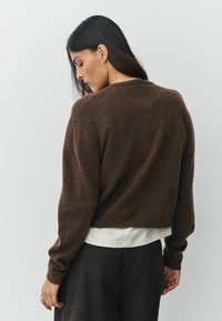 Brūns, nedaudz apgriezts džemperis, kas izgatavots no mīksta materiāla, ar garām piedurknēm un apaļu kakla izgriezumu. Uzgūts virs baltas krekla un tumšiem biksēm.