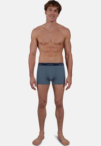 Boxer shorts in slate blue fabric with a smooth texture and elastic waistband featuring the brand name. Worn by a male model standing barefoot.