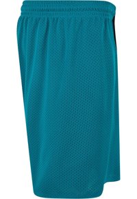Teal mesh treningsshorts med elastisk midje. Har små perforeringer for pusteevne og en rett passform uten lommer.