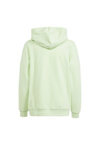 Sudadera verde claro con una textura suave, diseño de gran tamaño y capucha ajustable. Presenta puños y dobladillo acanalados, y una espalda sin costuras.
