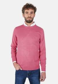 Maglione rosa chiaro lavorato a maglia con scollo tondo, maniche lunghe e polsini a coste, indossato sopra una camicia bianca con colletto e jeans blu.
