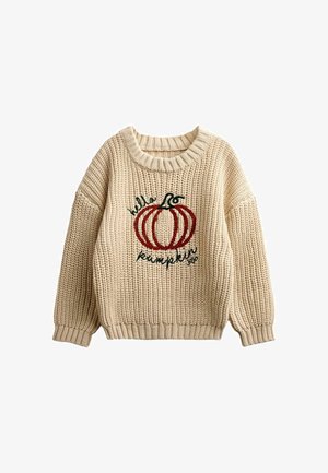 JoJo Maman Bébé, EMBROIDERED KNITTED JUMPER - Striktrøje - natural pumpkin