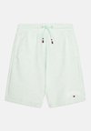 VARSITY UNISEX - Šorti - dew green heather