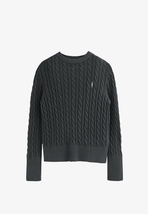 Maglione lavorato a maglia di colore grigio scuro con motivo a trecce; scollatura a girocollo, polsini e orlo a coste; piccolo dettaglio logo sul davanti.