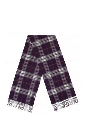 Scarf - multicolor