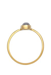 Kuldne sõrmus sujuva, ümmarguse tumeda kiviseadega. Bänd on õhuke ja ümmargune, peeglilise viimistlusega.