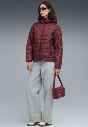 HOODED PADDED - Veste d'hiver - ruby shimmer
