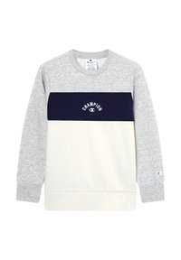 Szary sweatshirt w granatowe i białe poziome paski, z okrągłym dekoltem i logo "Champion". Wykonany z miękkiej mieszanki tkanin.