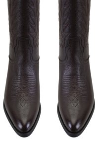 Une paire de bottes de cow-boy en cuir brun foncé avec des pointes et des coutures décoratives sur la partie supérieure.