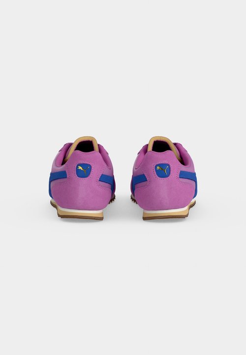 PUMA ARIZONA UNISEX - Trainers - mauve pop/royal sapphire — foto 4