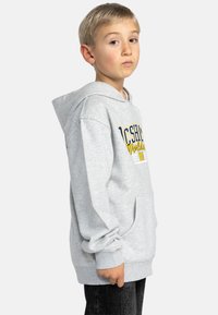 Grijze hoodie met een voorzak, voorzien van meerkleurige grafische tekst. De stof lijkt zacht met ribbels aan de manchetten en de zoom.