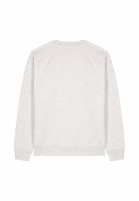 Sweatshirt gris avec un design simple, manches raglan, bords côtelés et ourlet. Fabriqué en tissu doux et texturé, sans motifs ni logos visibles.