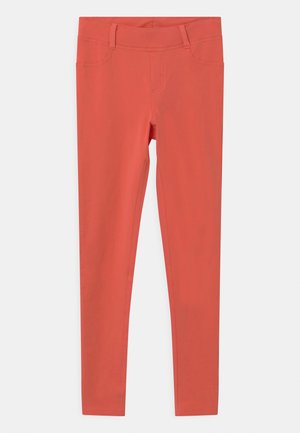 Broek - rose of sharon