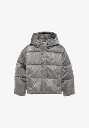 WE Fashion, WE FASHION - Chaqueta de invierno - silver