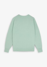 Helle grüne, gestrickte Pullover mit rundem Halsausschnitt, langen Ärmeln und geripptem Saum. Glatte Textur, keine sichtbaren Muster oder Beschläge.