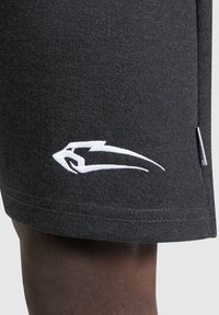Smilodox NALE TRAINING SHORTS - Korte broeken - schwarz melange