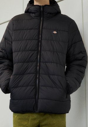 Dickies, Veste mi-saison - black