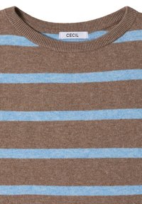 Pull marron en tricot avec des rayures horizontales bleu clair et un col rond côtelé comprenant une étiquette blanche avec le texte "CECIL".
