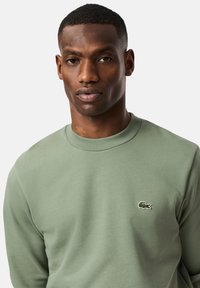 Sudadera verde con cuello redondo y mangas largas. Presenta un pequeño logo bordado en el pecho. Hecha de material suave de algodón.