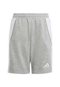 Pantalones cortos deportivos grises hechos de material suave, con acentos laterales blancos y una textura sutil. Incluye un logotipo bordado en la parte inferior derecha.