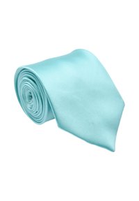 Cravatta di seta azzurro chiaro, arrotolata, con una texture liscia e una punta appuntita. Design semplice, senza motivi o hardware visibili.