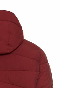 Bordowa kurtka puchowa z wysokim kołnierzem, poziomą pikowaną teksturą i gładkim wykończeniem materiału. Model z kapturem o ustrukturyzowanej formie.