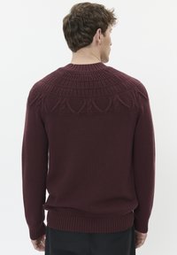 Maglione lavorato a maglia color marrone con yoke testurizzato caratterizzato da motivi intricati e orlo e polsini a coste, progettato con un classico collo rotondo.