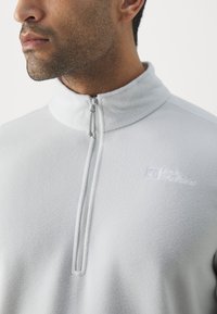 Jack Wolfskin TAUNUS HZ M - Fleecejacke - cool grey