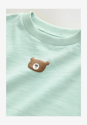 Šviesiai mėtų žalios medvilnės marškinėliai, kurių krūtinėje yra rudos meškos veido aplikacija. Marškiniai turi raukinį aplink apykaklę.