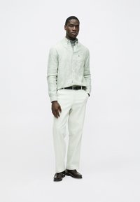 Világos zöld csíkos ing, begombolva és világos nadrágba tűrve. Fekete öv. Barna cipő. Egyszerű háttér. A modell az egyik kezét a zsebében tartva áll.