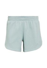 Lichtgroene sportkorte broek met een gestructureerde stof, elastische tailleband en zijopeningen voor bewegingsvrijheid. Voorzien van een subtiel logodetail.