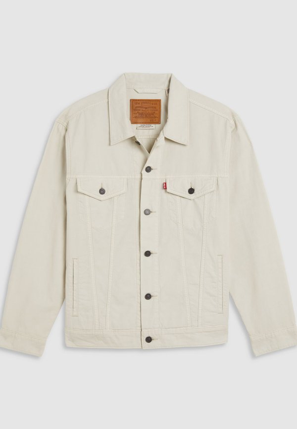 RELAXED FIT TRUCKER JACKET - Denim jacket - silver birch2