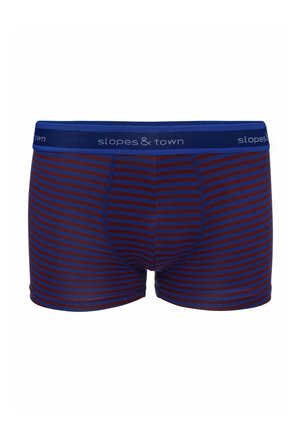 Boxerbriefs - blue with burgundy stripes