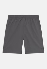 Grå träningsshorts med elastisk midja, tillverkade av lättviktig tyg, med en subtil logotyp i nedre hörnet.
