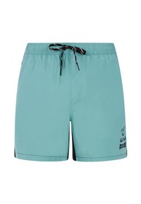 Licht turquoise zwemshorts met een elastische tailleband, zwarte trekkoord en accenten aan de zijkanten. Heeft een grafisch logo op het linkerbeen.