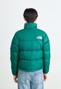 Zaļš pūka jaka ar augstu apkakli, ar kviltotas pildījuma un "The North Face" logotipu augšējā muguras daļā. Apvienota ar gaismu džinsa biksēm.