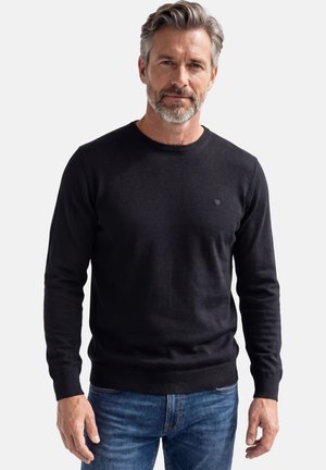 Middle-aged man with gray hair and beard wearing a black crewneck sweater and blue jeans, standing against a plain light background.