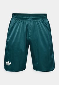 ERGO SHORTS PRO - Korte broeken - aurora ivy