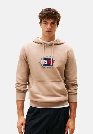 LINEAR FLAG GRAPHIC - Jersey con capucha - coastal taupe