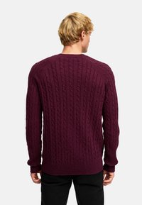 Kabelstickad tröja i djup burgundy, med ribbad mudd och nederkant, tjock textur och en strukturerad passform som syns från bakvyn.