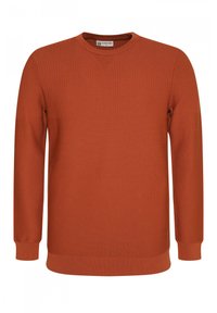 Sweter w kolorze rdzy z prążkowaną teksturą, okrągłym dekoltem i długimi rękawami. Materiał jest miękki o jednolitej strukturze.